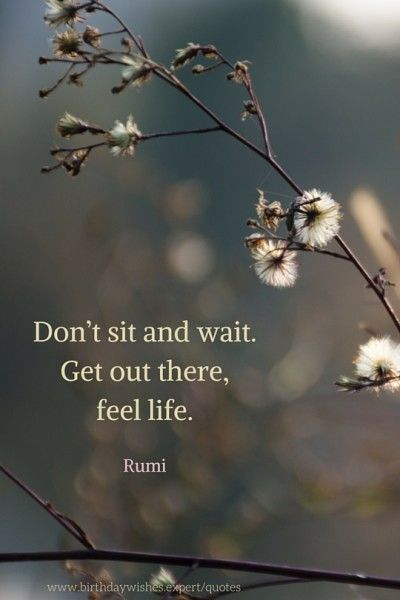 dont-wait