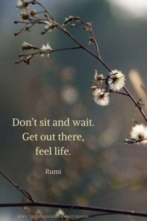 dont-wait